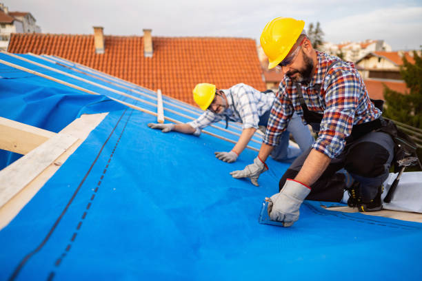 Best Residential Roofing Contractor  in Hillsboro, KS