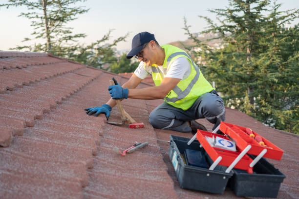 Best Roof Gutter Cleaning  in Hillsboro, KS