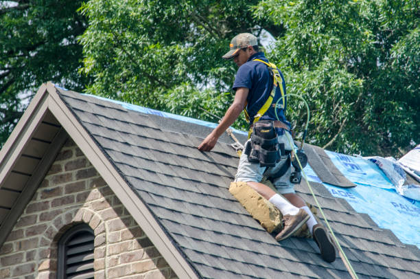 Best Flat Roof Repair Services  in Hillsboro, KS